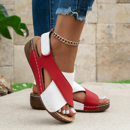 https://cdn.shopify.com/s/files/1/0883/7093/8193/files/2_3ec0e446-a0dd-4e6a-bd8a-c433cd4c26fe.webp?v=1743963820